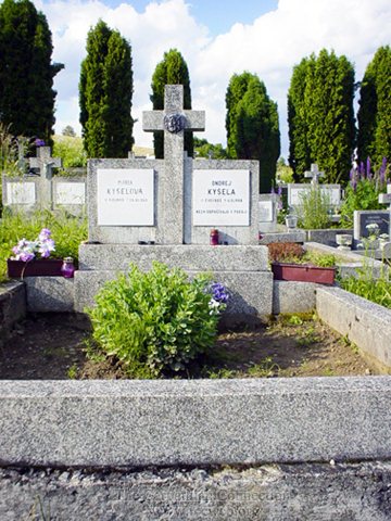 Cemetery in Plavnica